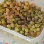 马林克公寓